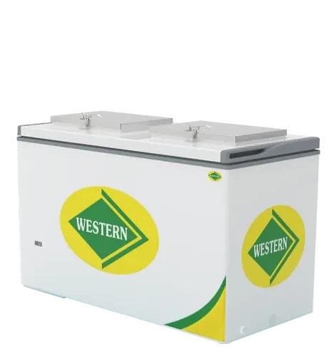 Deep Freezer NWHF425HE-2D-HC